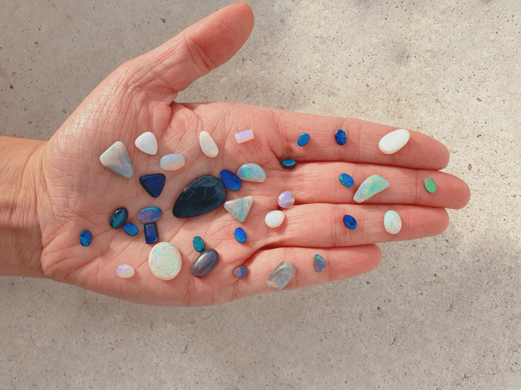 learn about opal